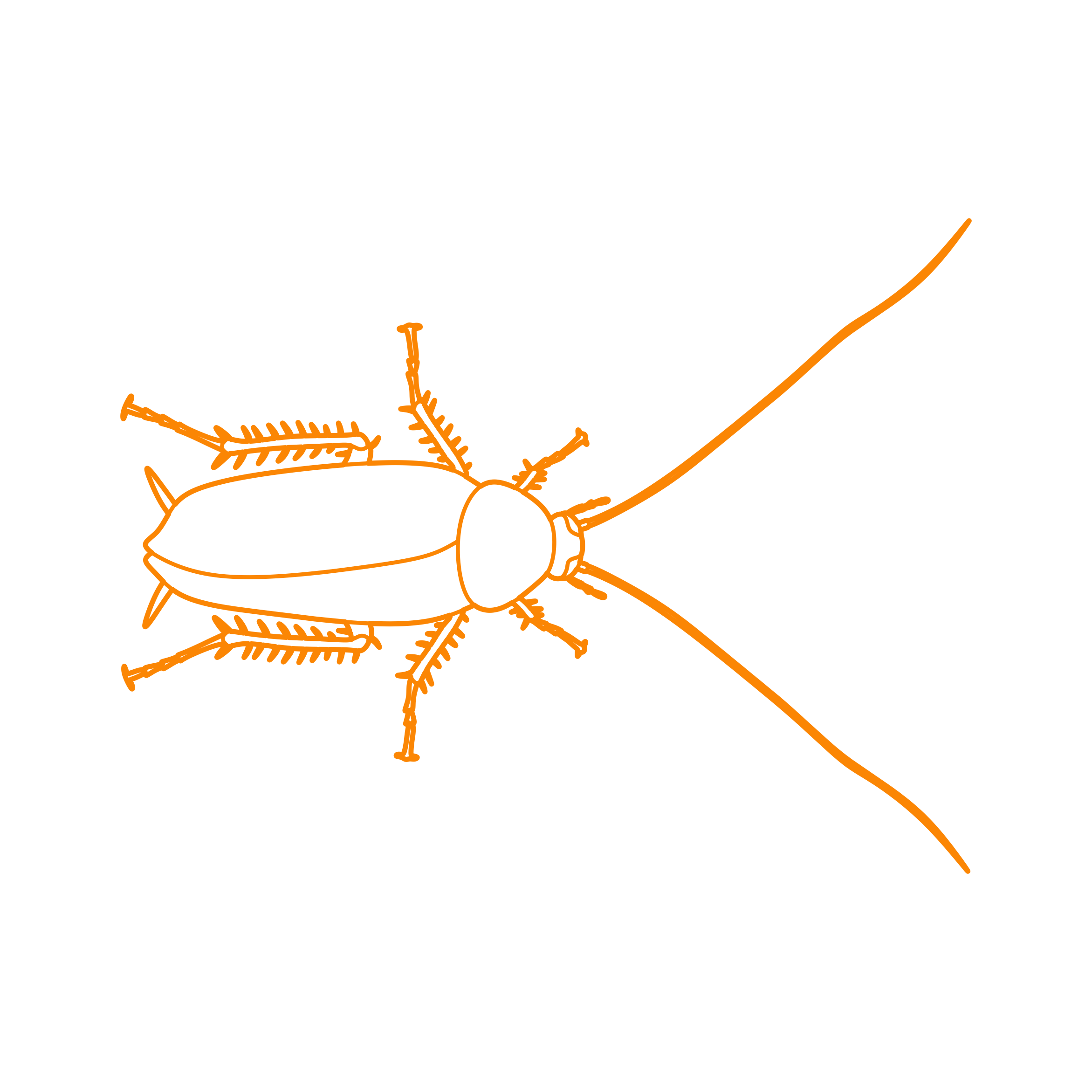 Animals Insects American Cockroach Outline Svg File Free Vectors